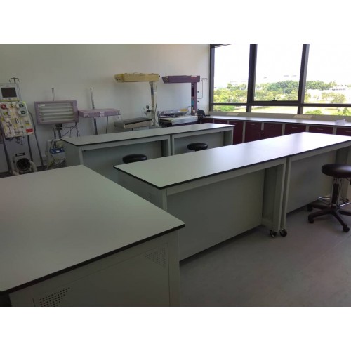 Phenolic Resin Worktop